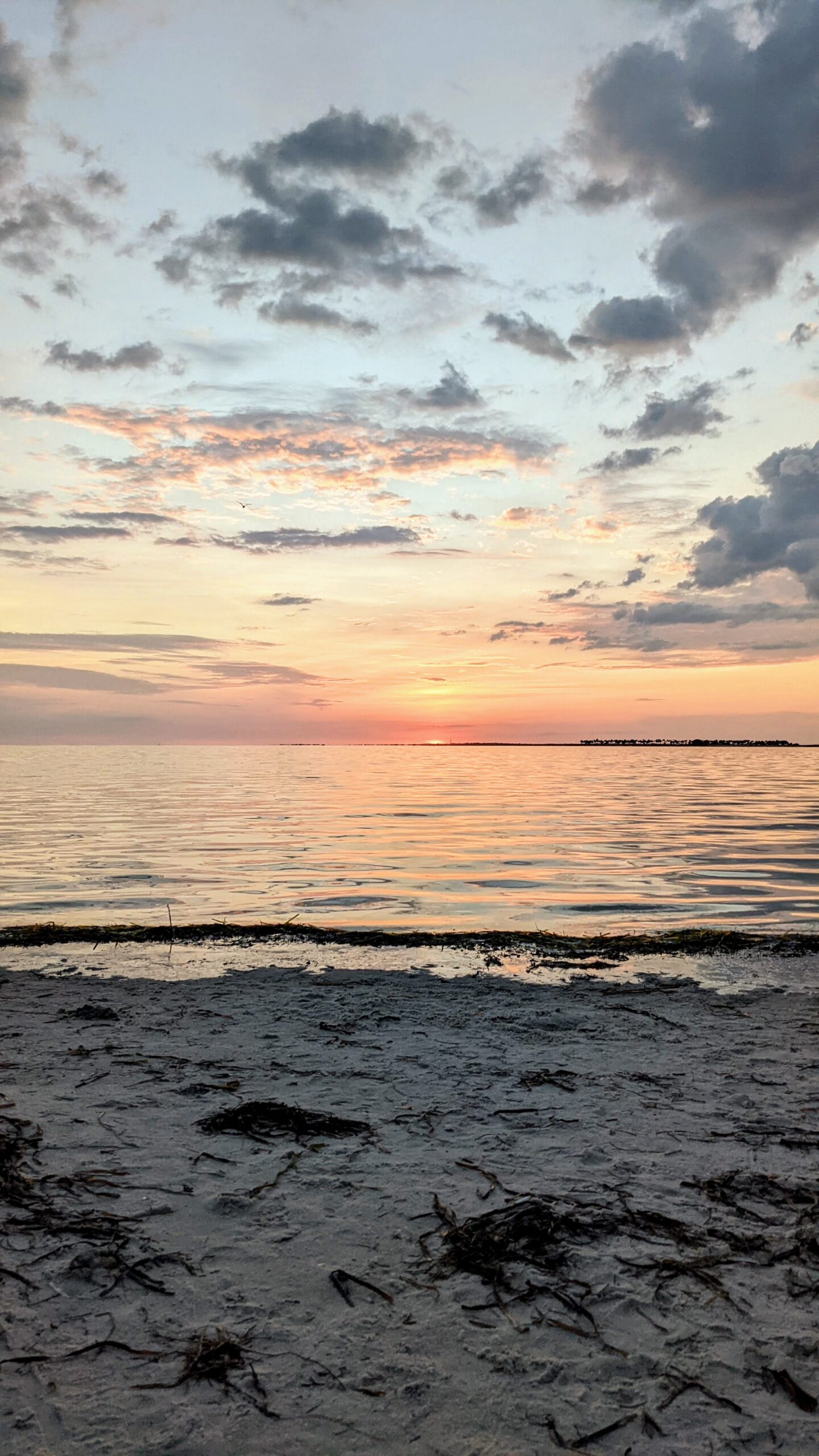 The sunset in Clearwater Beach, which reminds me of new beginnings and fresh starts